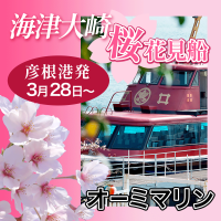日本のさくら名所100選の「海津大崎」へのお花見クルーズを3月28日(土)から4月15日(水)の期間限定で運航開始！