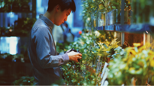 植物が●万円！？なのに部屋は鉢だらけ。20～40代の園芸・ガーデニング“あるある出費”調査