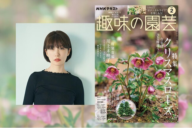 【川上未映子氏・特別寄稿】『趣味の園芸』2月号は、かつてない“クリスマスローズ大特集”をお届け！ 1月21日発売