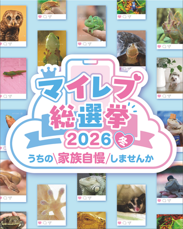 【爬虫類・両生類好き必見】エキゾチックアニマルNo.1を決める『マイレプ総選挙』開催！ レプタイルズフィーバー 2026 Winter