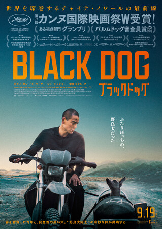 世界を席巻するチャイナ・ノワール最前線！『ブラックドッグ』DVD 2026年5月13日(水)発売決定！