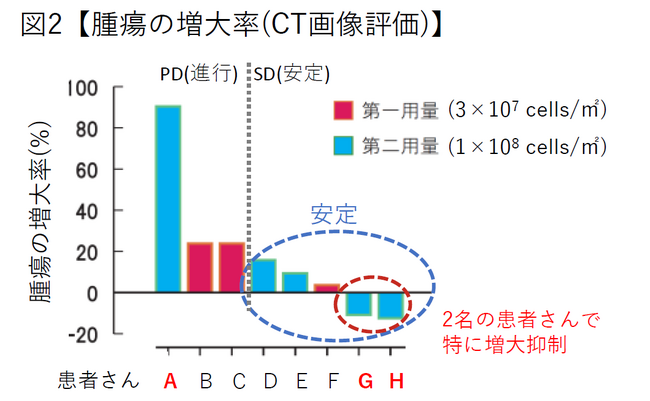 iPS細胞から作製した“作り置きできる免疫細胞”が、がん治療を変える可能性