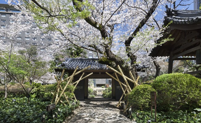 【高輪エリアのプリンスホテル】都心にいながら風雅な桜景色に包まれ、五感で春を味わう「高輪 桜まつり2026」今年も開催