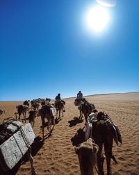 50年にわたり撮り続けた「塩の現場」の作品約80点を紹介　片平孝写真展「塩の旅　～地球の塩の現場に立つ～」たばこと塩の博物館(東京・墨田区)で1月31日(土)から開催