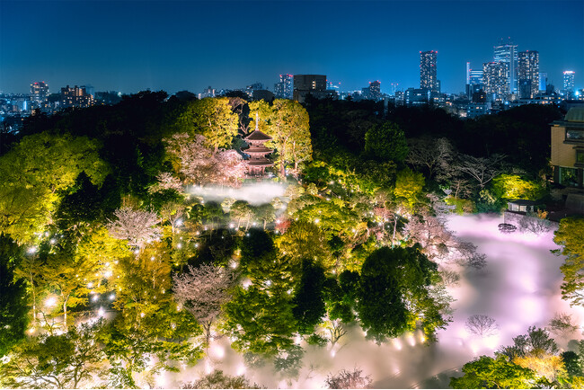 【ホテル椿山荘東京】桜とシャンパンが彩る、春限定のラグジュアリーなピクニック「Twilight Sakura Terrace」 3月2日よりスタート