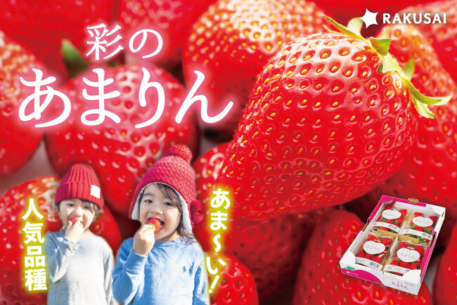 2026年RAKUSAIあまりん販売開始!『矢島農園さんの彩のあまりん』(埼玉県産)