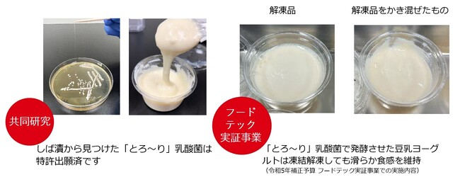 ぐるなび・東京科学大学「ぐるなび食の価値創成共同研究」論文発表　京都の伝統発酵漬物から世界初の発見！　新規菌体外多糖（EPS）を作る「とろ～り」乳酸菌の単離に成功