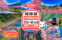 河津桜と春の伊豆旅　伊豆高原駅～伊豆急下田駅が1日乗り放題　「河津桜パーク&トレインフリーきっぷ」を今年もモバイルチケットで販売