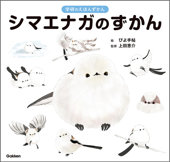 かわいいっ!!「シマエナガのずかん」ことりカフェ&鳥フェス浅草2026で先行販売決定♪
