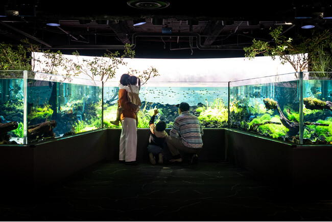 2月のカワスイは「カワスイ ナマズの日」×「はじめての水族館」×「カワスイスクール進級展」開催