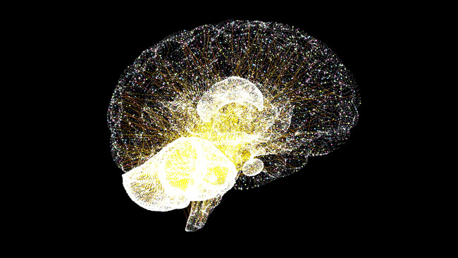 シナプス分子 Rab3Aの変異が原因となる新しい遺伝性脊髄小脳変性症を同定