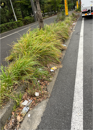 どうして？どのように？ごみのポイ捨ては行われている？「千葉県内幹線道路におけるごみのポイ捨て調査」を実施しました！