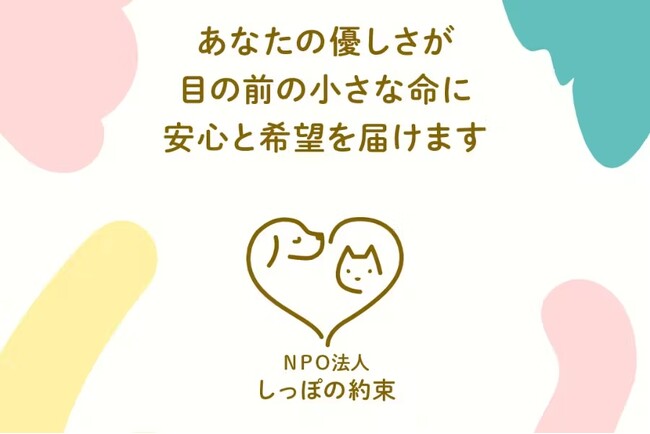 『最期まで、安心して生きる場所を』- 高齢犬猫のための居場所づくりプロジェクト始動