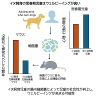 【麻布大学】イヌを飼育する児童の幸福度の上昇には細菌叢の変化が関与