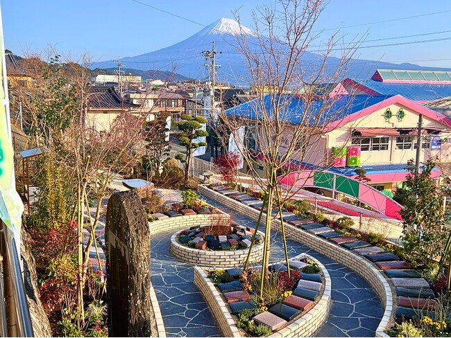 家族の負担だけでなく「供養の気持ち」も大切に――調査で見えた、樹木葬に広がる“個別で供養する場所”を求める声