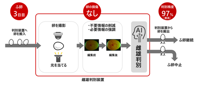 日立ソリューションズ・クリエイト、農研機構、九州工業大学がふ卵3日目に鶏卵を傷つけずに卵内雌雄判別する技術を共同開発