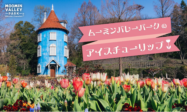 ムーミンバレーパークに約1,000ポット3,000球のアイスチューリップが登場！～入り江のテラスはアイスチューリップが咲き誇る「チューリッパのテラス」に！～
