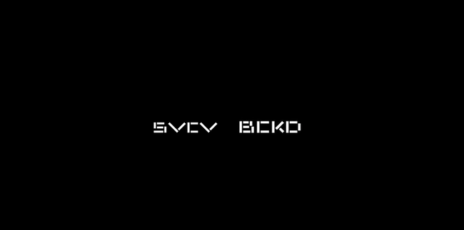 プライベート・エクイティ・ファームSCVC Partners、BCKD Capitalとして再始動次世代ブランドを擁する多国籍ホールディングカンパニー「SVCV」を設立