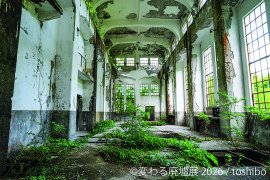 展示作品：toshibo