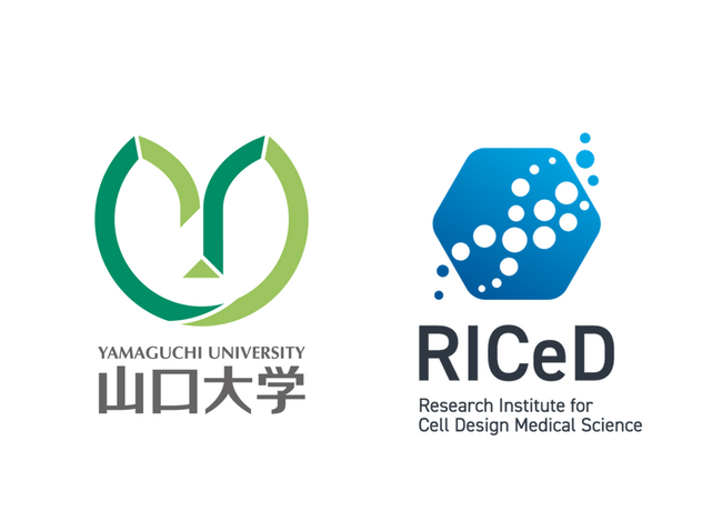 【山口大学】犬の口腔内悪性黒色腫に対する抗PD-1抗体の大規模臨床試験を実施