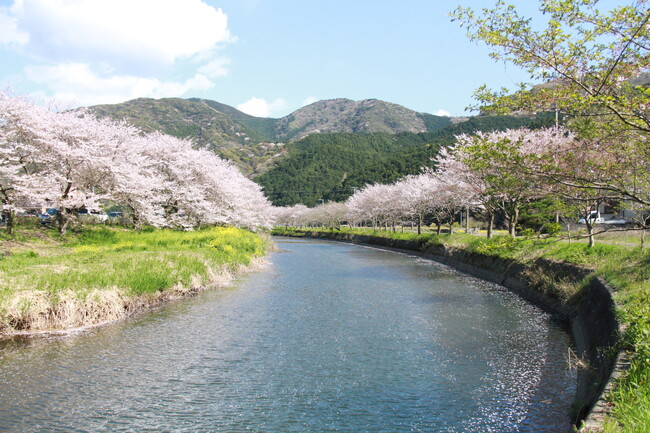 西伊豆・松崎町にて、一定規模の敷地を活かした事業用地を取得