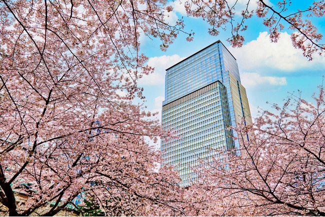 桜が舞う日本橋で楽しむ、マンダリン オリエンタル 東京の春限定体験