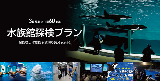 【鴨川シーワールド】閉館後の水族館を貸切り気分で満喫するご褒美プラン！1日60名限定「水族館探検プラン」開催