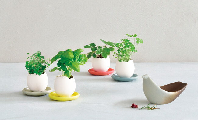 1999年誕生、栽培キット第一号「eggling」ロングセラー商品に、待望の専用ソーサー付き新モデル登場