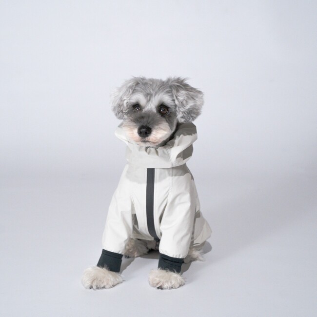 STANDING ON THE BLUE×デザインエフ｜人気コラボ第2弾、シュナウザー専用「Ultra Rain Suit」発売