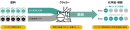 マスバランス方式とは