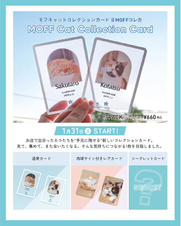 好評につき販売店舗拡大！『MOFF Cat Collection Card』1月31日（土）より新たに7店舗で展開