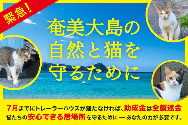 世界自然遺産・奄美大島で猫と自然の共存を実現するための保護拠点設置プロジェクト ー 大型トレーラーハウス設置計画 クラウドファンディング第2弾スタート