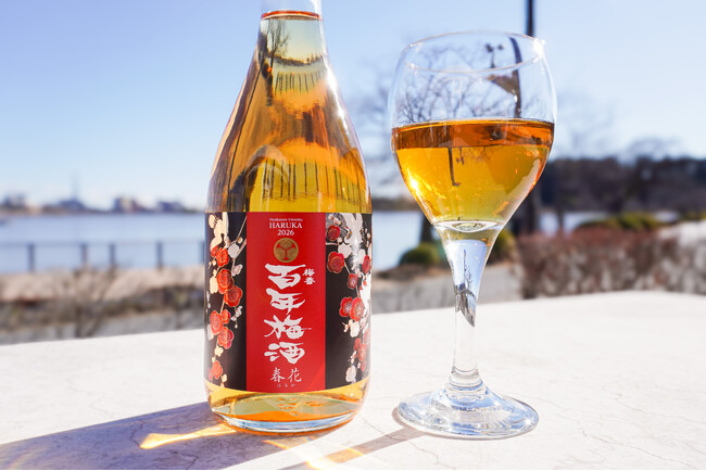 日本一に輝いた百年梅酒を“梅酒ヌーボー”で楽しむ「百年梅酒　春花2026」が２月２日(月)全国販売開始！ 