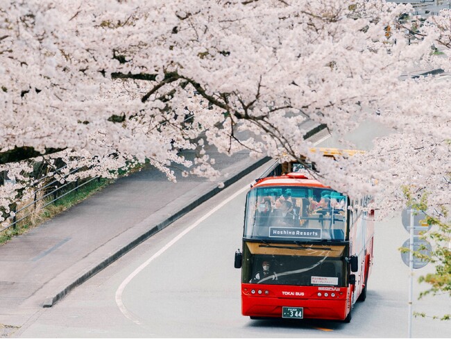 【界 伊東】約1500本の桜が360度の大パノラマで迫りくる！伊豆を駆け巡る「桜オープンバスツアー」開催