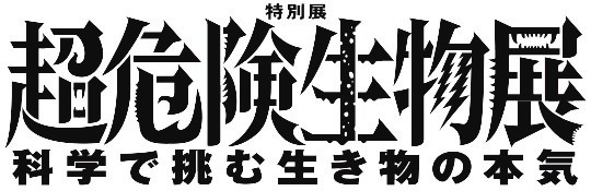 各種前売券発売とスポット映像公開のお知らせ！