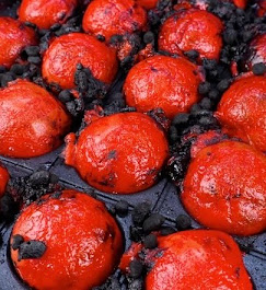 関西の人気情報番組「おはよう朝日です（ABCテレビ）」で自分で焼けるたこ焼き居酒屋 TAKOYAKI LABが紹介されました！