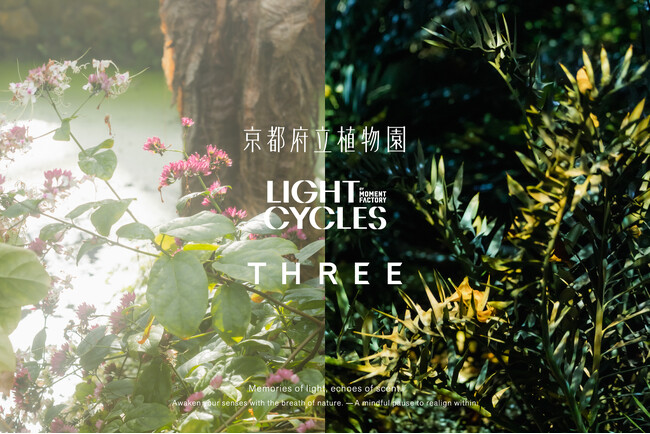 THREEが日本最古の公立植物園「京都府立植物園」とアートナイトイベント「LIGHT CYCLES KYOTO」にて、インスタレーションイベントを開催