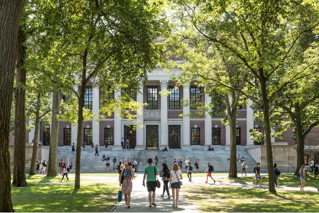 英語で学ぶ力を、大学進学につなぐ ～ 帰国子女アカデミー、「University Prep プログラム」2026年度スタート