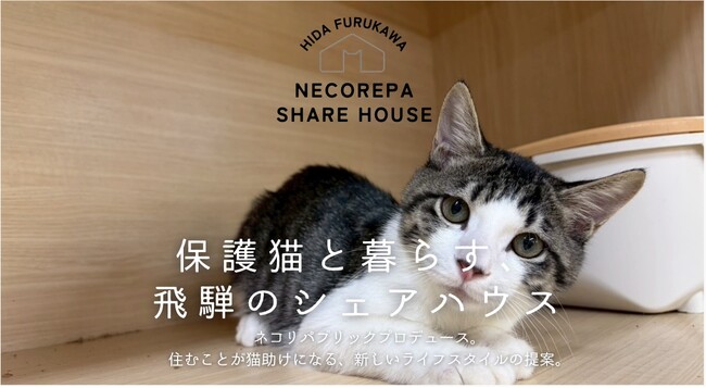 【岐阜県飛騨市】「猫と暮らす」が「猫助け」になる。保護猫8匹と人間5人が家族になる「ネコリパシェアハウス」入居者募集開始！～空き家活用で猫と人の新しい共生モデル～
