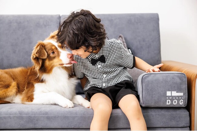 くつろぐ時間も、眠る夜も、愛犬と。一緒に寝られるソファベッド「SWANEL-DOG」誕生