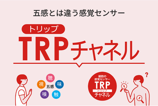 TRPチャネル研究を、もっと身近に。マンダムのTRPチャネル研究情報ページをリニューアル!
