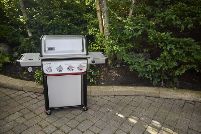 米国発BBQ グリルブランドWeber(R) これがBBQ スピリット。