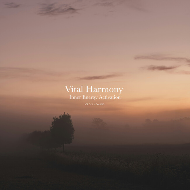 内側から回復力を呼び覚ます。免疫力を整えるヒーリング音楽 CROIX HEALING 最新アルバム『Vital Harmony - Inner Energy Activation』1/30配信開始