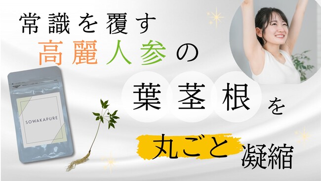 100%国産高麗人参の葉、茎、根を丸ごと使用し、高麗人参の栄養素を凝縮したサプリメント「SOWAKAPURE」を販売開始！