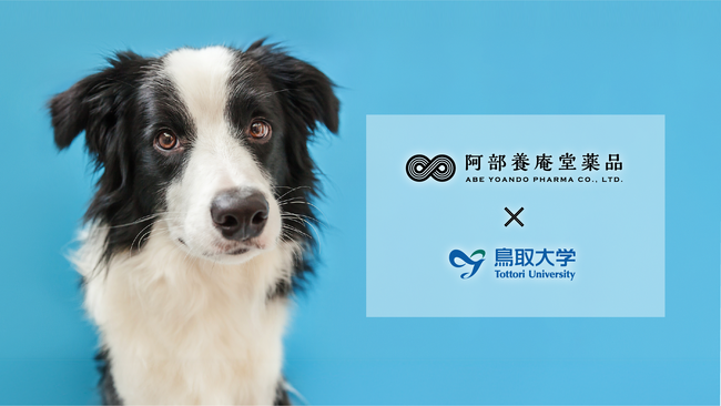 鳥取大学との共同研究により、NMNの犬への経口投与における安全性とSIRT1遺伝子発現に関する研究結果を公表