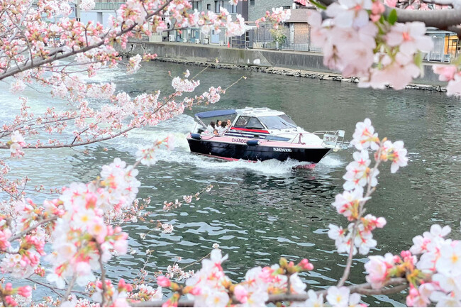 【春限定】目黒川お花見CHANDONクルーズ、2026年も開催決定