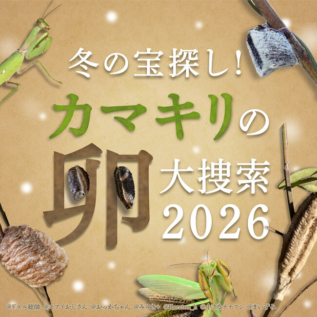 冬の”アレ”を探せ！Biomeで「カマキリの卵 大捜索2026」開始