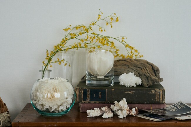 ソラフラワーの人気シリーズがリニューアル発売！ソラの木から生まれた天然ポプリ「SOLA FLOWER」、花が染まるカラーリングディフューザー「SOLA PALETTE」2026年2月2日（月）新発売