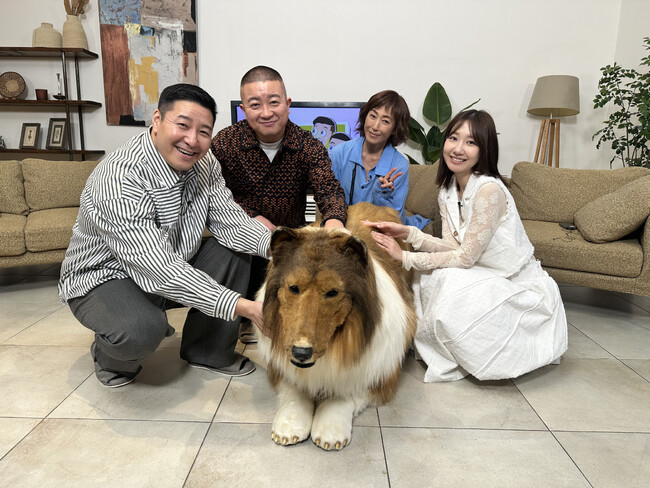 チョコプラ＆高島礼子・柏木由紀も驚がく 「まだまだ買い物って奥が深い！」　「買い主」の計り知れない情熱に迫る密着バラエティ！