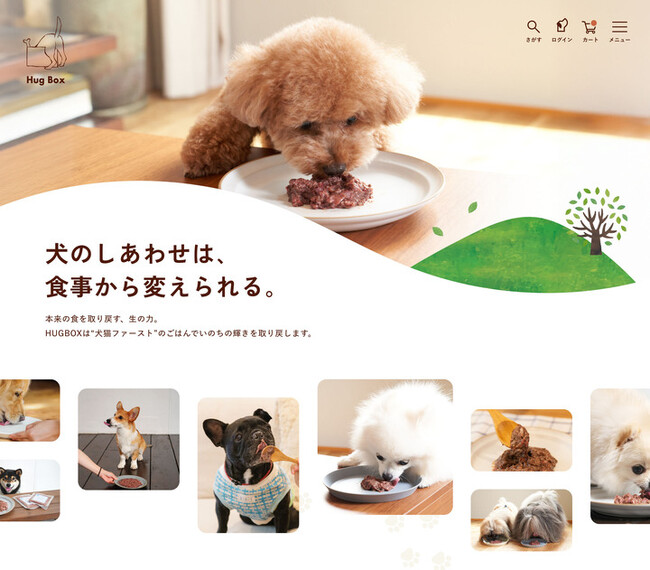 犬・猫用ローフードを製造・販売する株式会社ハグオール（ブランド名：HUGBOX）、ショップページのリニューアルと共に新メンバーシップ制度を開始。